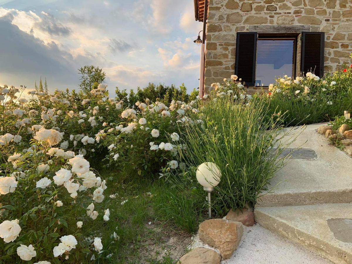 Borgo Crispiero Bed and Breakfast Eksteriør billede